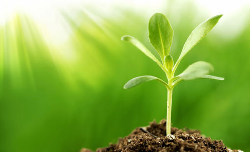 فكرة الآخرة وتأثيرها في السلوك